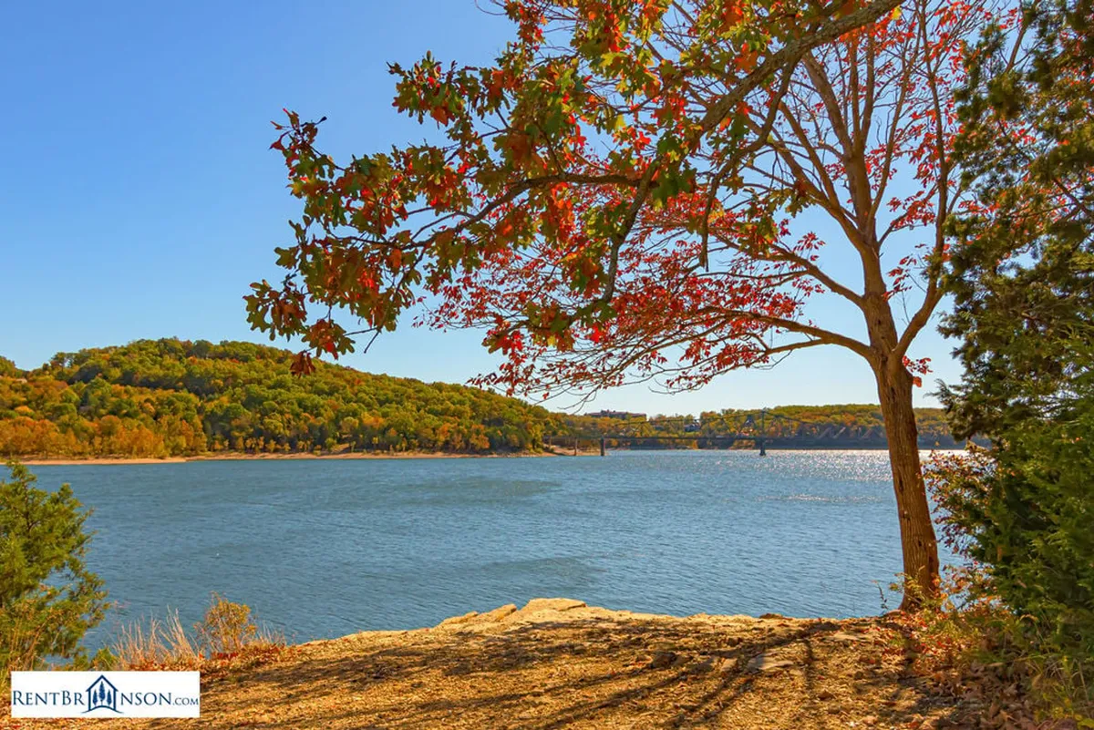 A breathtaking view of a peaceful lake bordered by autumn foliage and distant hills under a clear blue sky. The scene evokes feelings of serenity and offers a glimpse into lakeside trails and nature walks, ideal for outings with pets.
